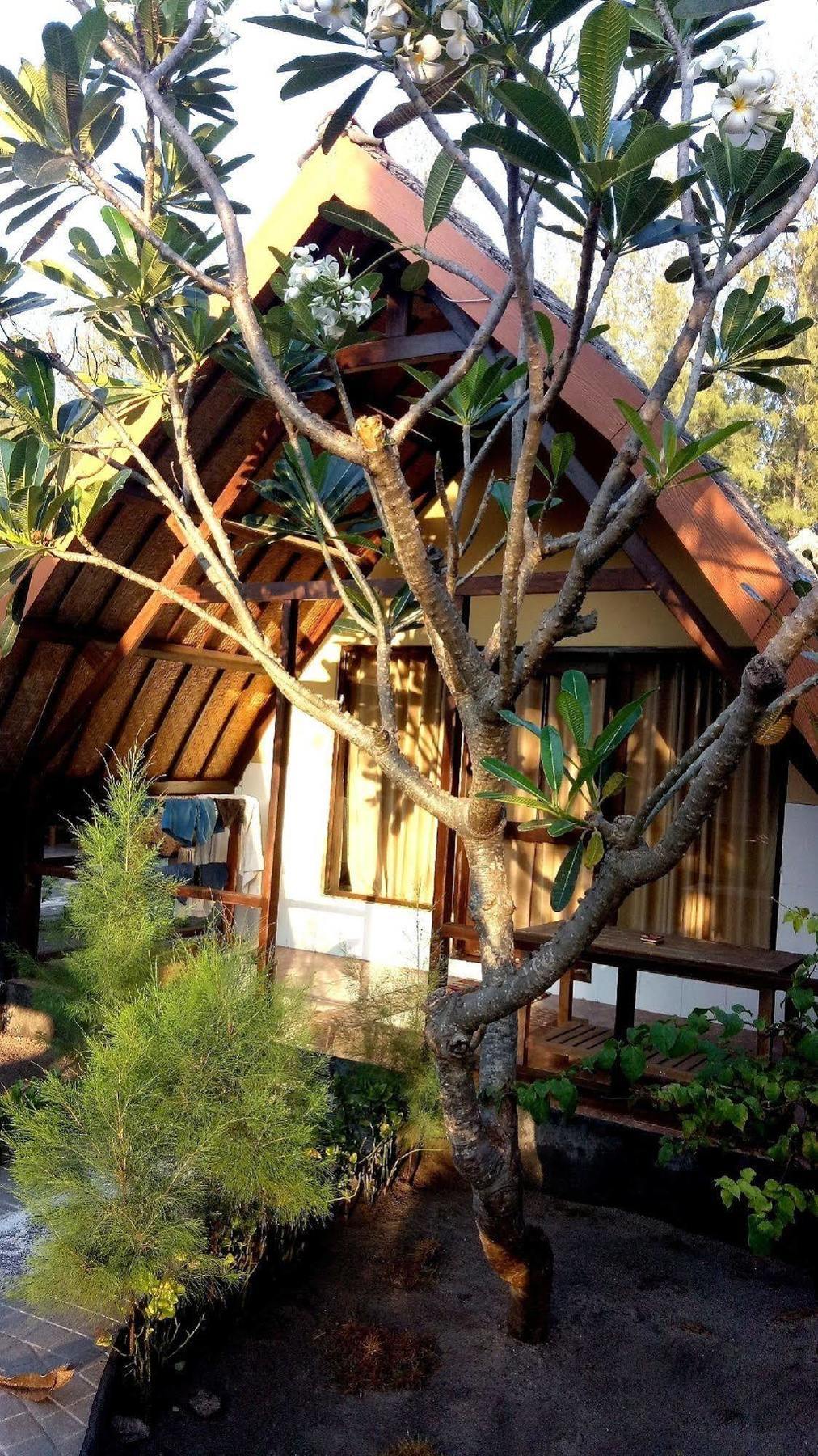 Pondok Windy Gili Trawangan Eksteriør billede